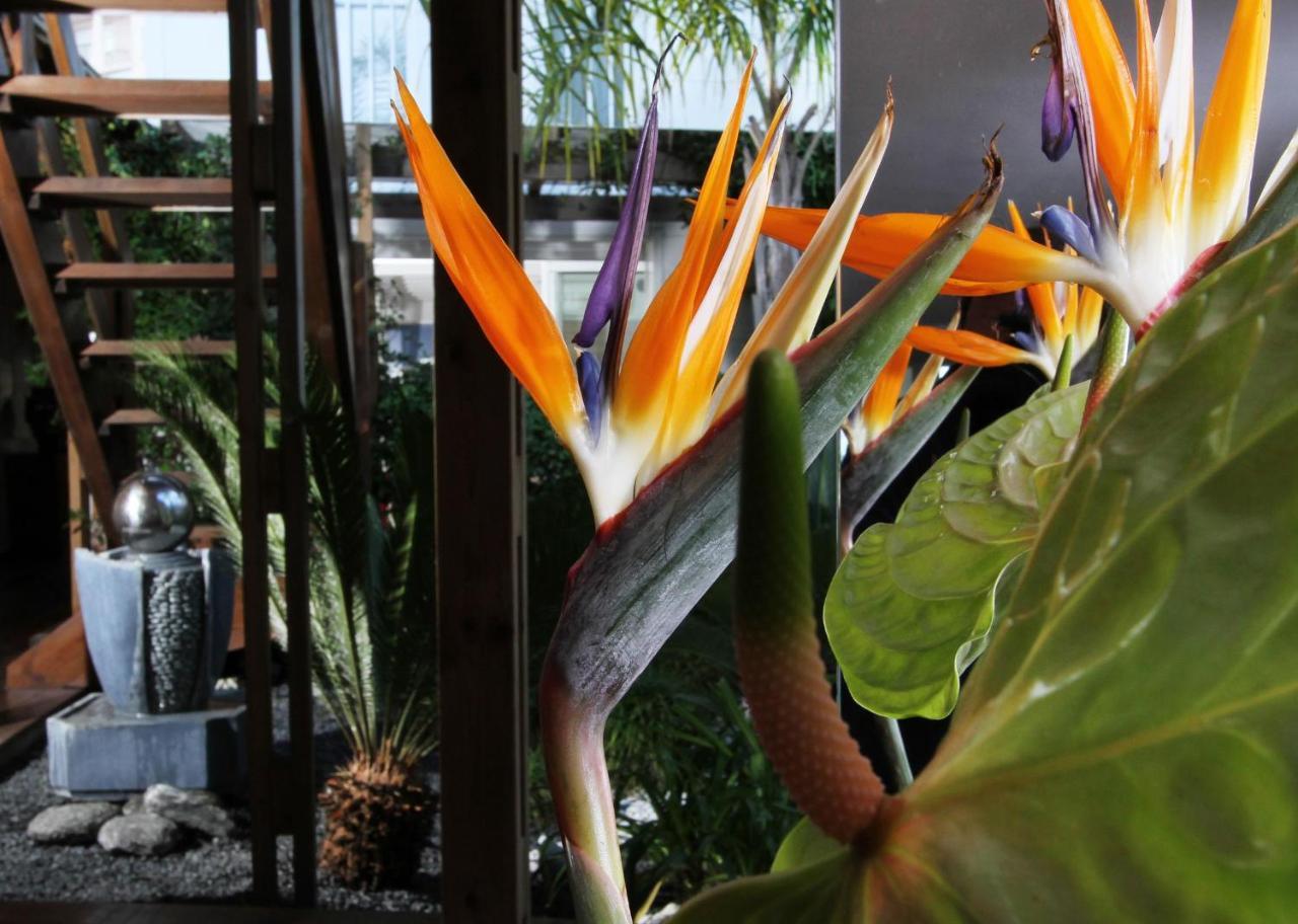 Bleu Mer Duplex & Suites Saint-Cyprien  Luaran gambar